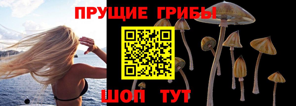 Псилоцибиновые грибы ЛСД  Вход с VPN  Первоуральск 